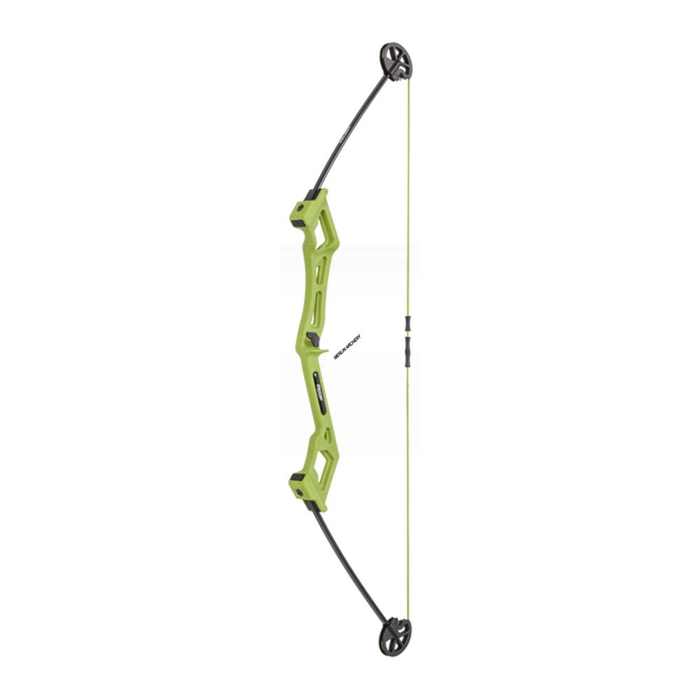 Bear Archery Valiant Bow Set