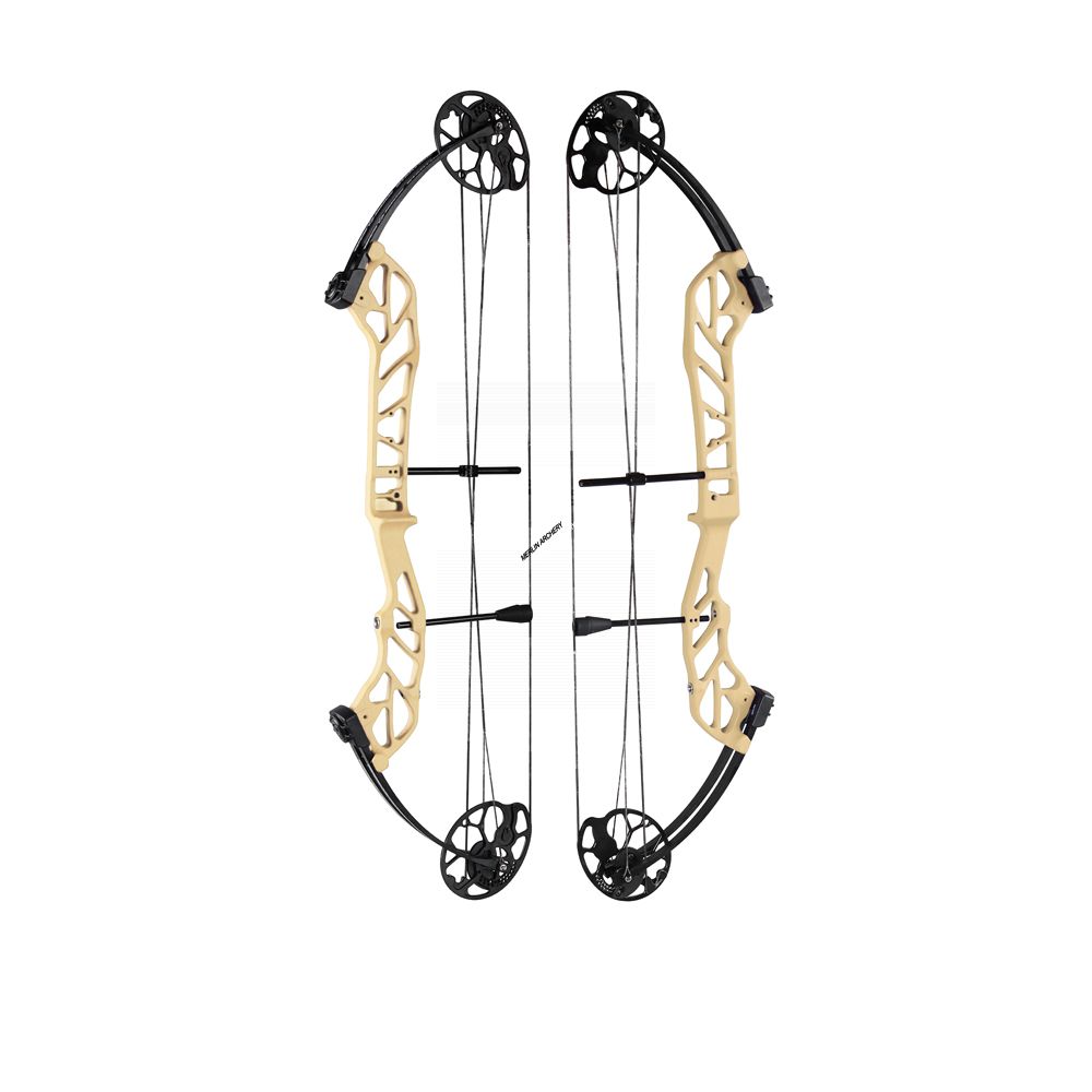  Topoint Starting 36 Compound Bow