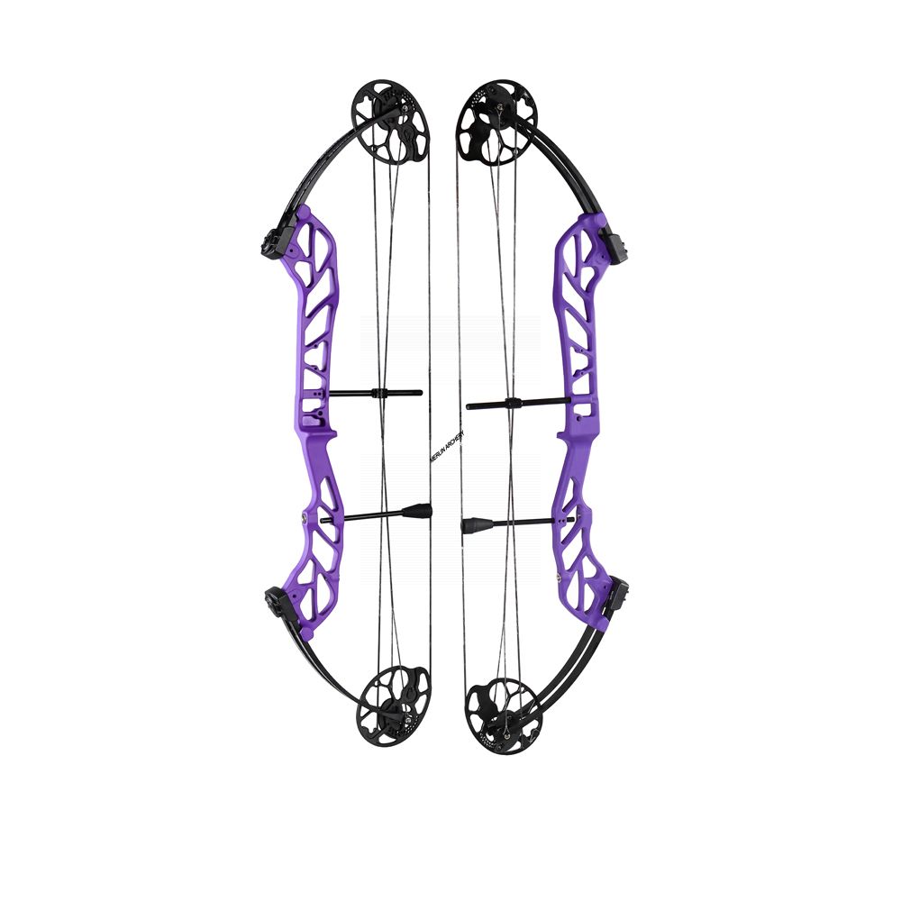  Topoint Starting 36 Compound Bow