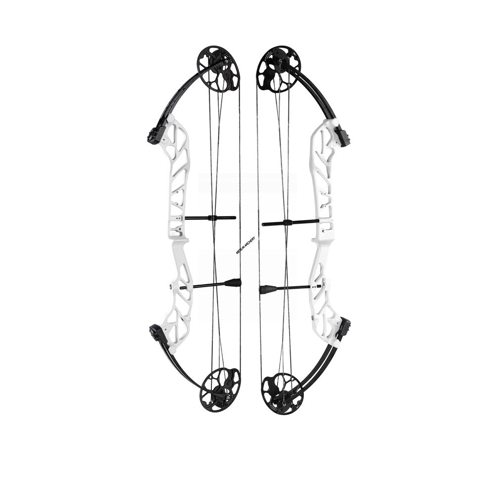  Topoint Starting 36 Compound Bow