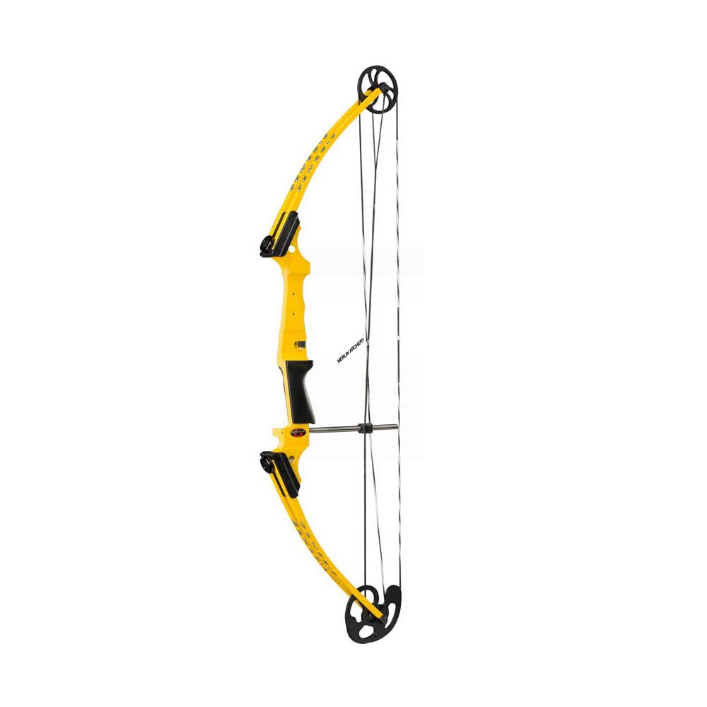  Mathews Genesis Compound Bow