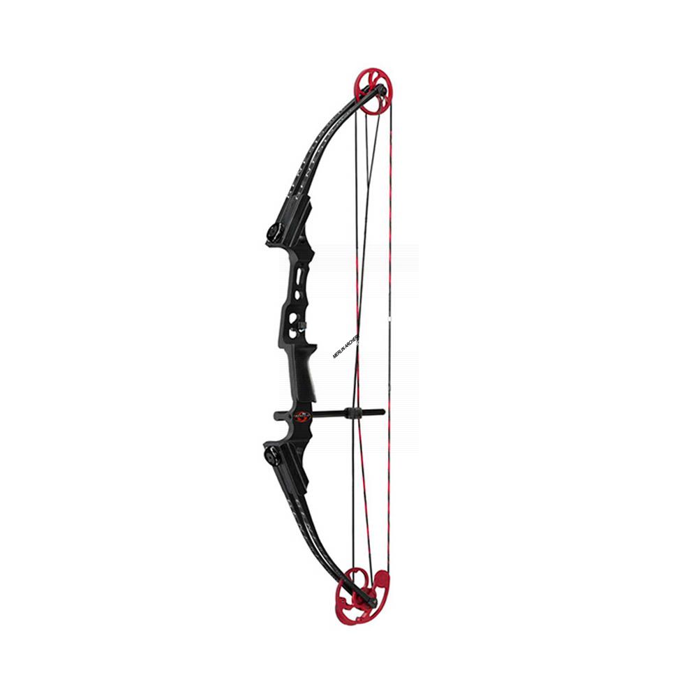  Mathews Mini Genesis Compound Bow