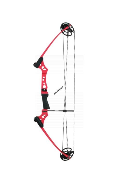  Alina Legend Compound Bow