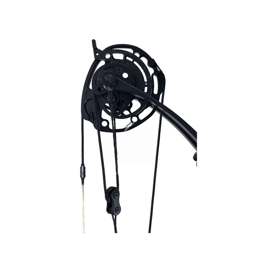  Darton Emergence Compound Bow