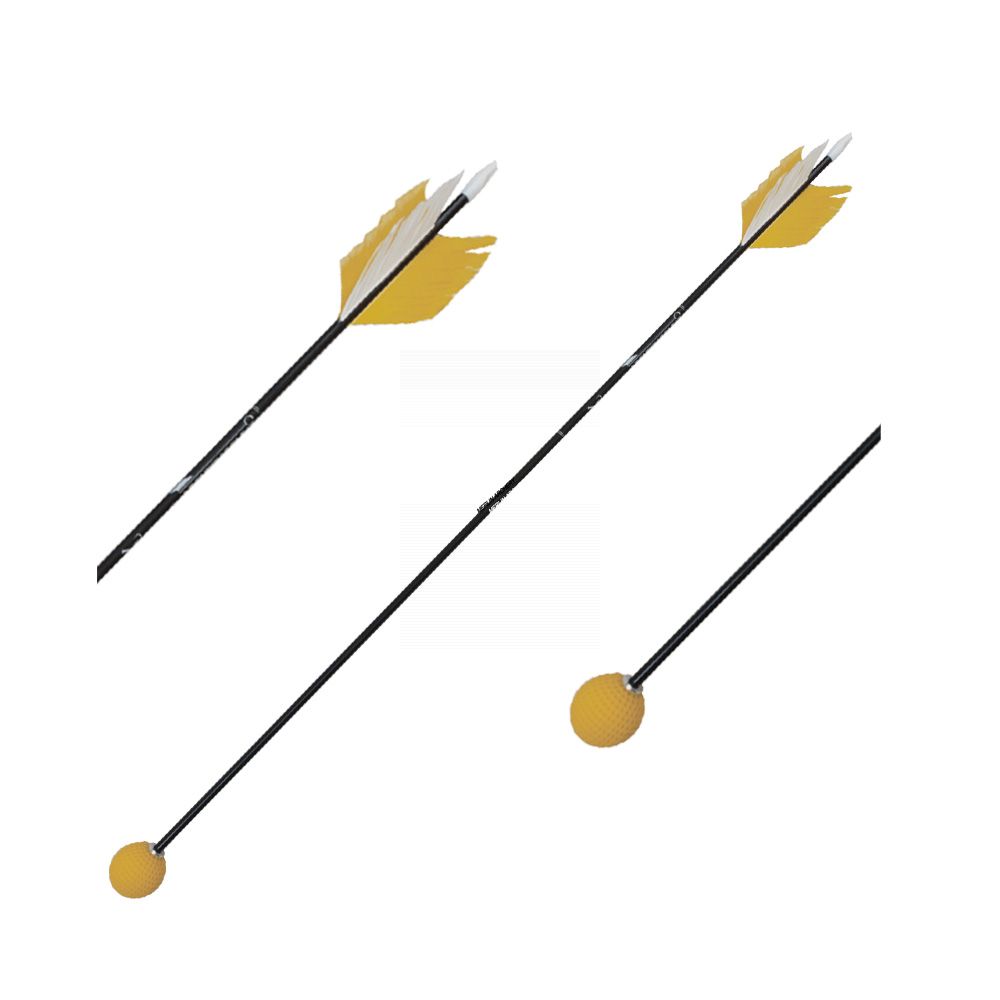  Carbon Express Archery Golf Set