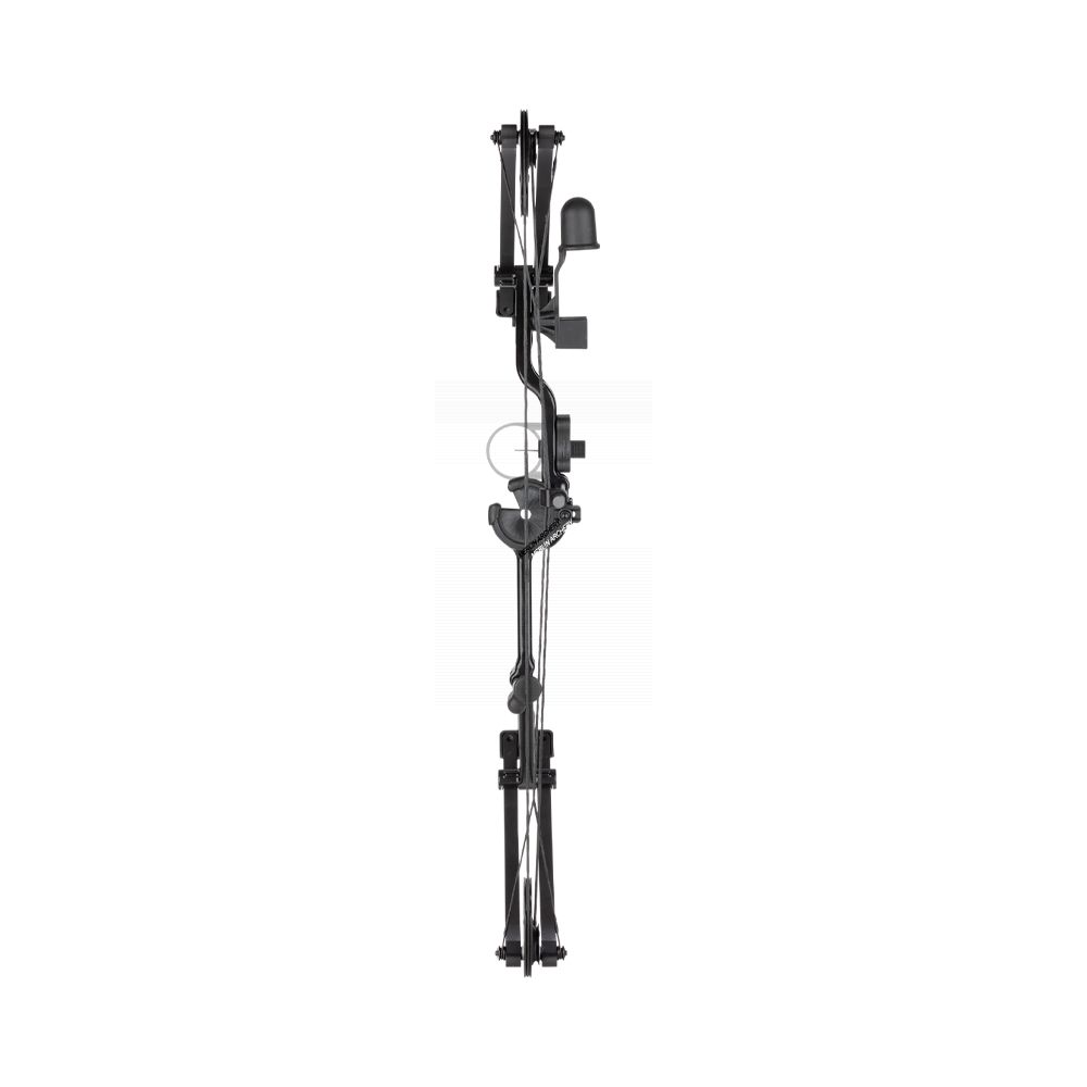  Bear Pathfinder Compound Bow